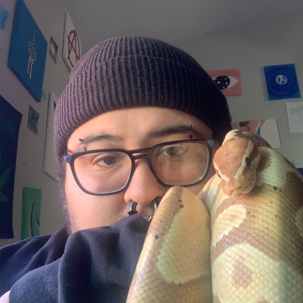 Meet Kade🐍